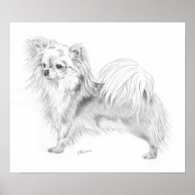 Campeón de la chihuahua de Longcoat Poster