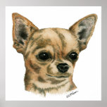 Campeón de la chihuahua de Smoothcoat Impresiones