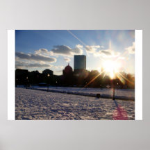 Campo común de Boston Posters