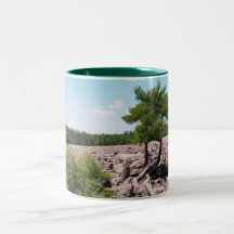 Campo de Boulder Tazas De Café