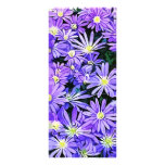 Campo de flor azul de la anémona (2013 lona personalizada