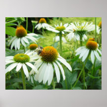 campo de flores y del poster de la abeja