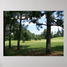 Campo de golf poster