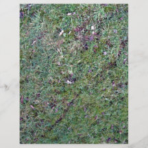 Campo de hierba con las hojas marrones tarjetones