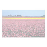 Campo de la alegría, valle de Skagit, Washington,  Papeleria De Diseño