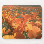 Campo de la amapola de California Alfombrillas De Ratones