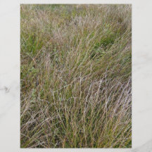 Campo de la hierba seca y del seto amarillos tarjetas publicitarias