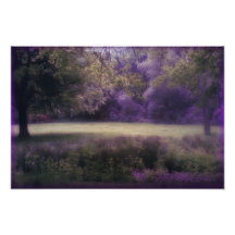 Campo de la lavanda de sueños arte fotográfico