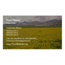 Campo de las flores de las flores plantilla de tarjeta personal