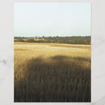 Campo de trigo con las sombras y las luces tarjetón