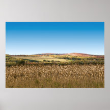 Campo de trigo posters