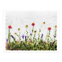 Campo de Wildflowers Postales
