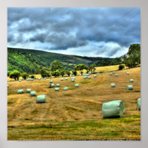 campo del heno poster