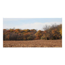 Campo del otoño foto