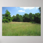 Campo del país posters
