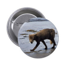Campo del sur del zorro de Sanak, Fox ártico Pins