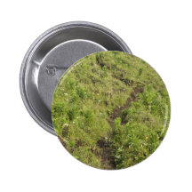 Campo del sur del zorro de Sanak, rastros Pins