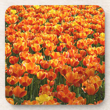 Campo del tulipán posavasos de bebida