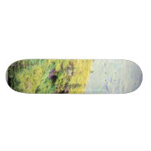 Campo escocés hermoso tablas de patinar