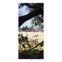 Campo México de la escena del arte Diseño De Tarjeta Publicitaria