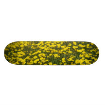 campos amarillos patines 