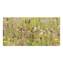 Campos de flor salvaje tarjeta personal