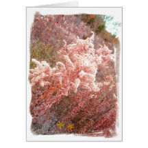 Campos de la caída de flores felicitaciones