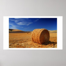 Campos del heno impresiones