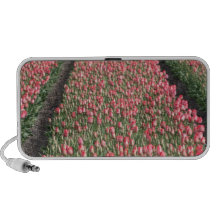 Campos del tulipán iPod altavoz