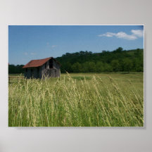Campos del verano posters