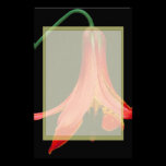 Canadiense Lilly papeleria