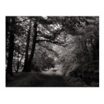 Canal, parque del Bute, Cardiff, País de Gales Postales