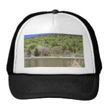 Cañas de los Cattails de los árboles de las colina Gorros