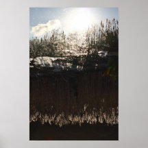 Cañas II Poster