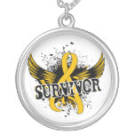 Cáncer de la niñez del superviviente 16 joyeria