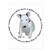 Canciones del perrito de bull terrier postales