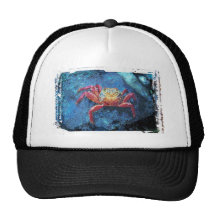 Cangrejo 1 gorra