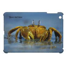 Cangrejo de oro - personalizar