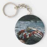 Cangrejo de Sally Lightfoot Llavero Personalizado