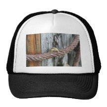 Cangrejo Gorra