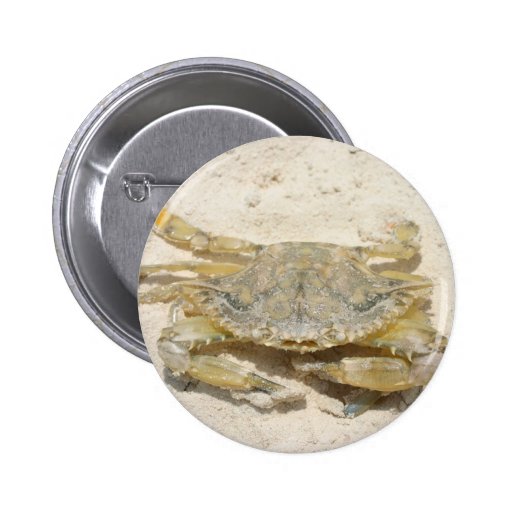 Cangrejo Pins