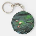 Cangrejos de Sally Lightfoot Llavero Personalizado