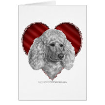 Caniche blanco con el corazón felicitacion 