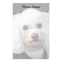 Caniche blanco inmóvil papeleria
