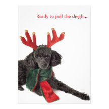Caniche de juguete negro con las astas del reno invitaciones personales 