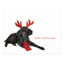 Caniche de juguete negro con las astas del reno postal
