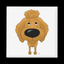 Caniche grande de la nariz imanes