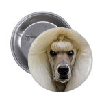 Caniche Pin