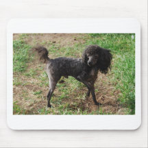 Caniche Prancing negro de lujo Alfombrillas De Ratón