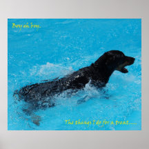 Canículas Rottie Poster